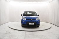 Auto Usate A Brescia | Fiat Panda 1.0 Hybrid S&S 70Cv