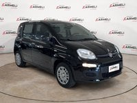 Auto Usate A Brescia | Fiat Pandina 1.0 Firefly Hybrid Pop S&S 65Cv