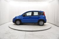 Auto Usate A Brescia | Fiat Panda 1.0 Hybrid S&S 70Cv