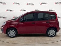 Auto Usate A Brescia | Fiat Pandina 1.0 Firefly Hybrid Pop S&S 70Cv