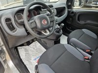 Auto Fiat Panda 1.0 Firefly S&S Hybrid Easy Usate A Roma