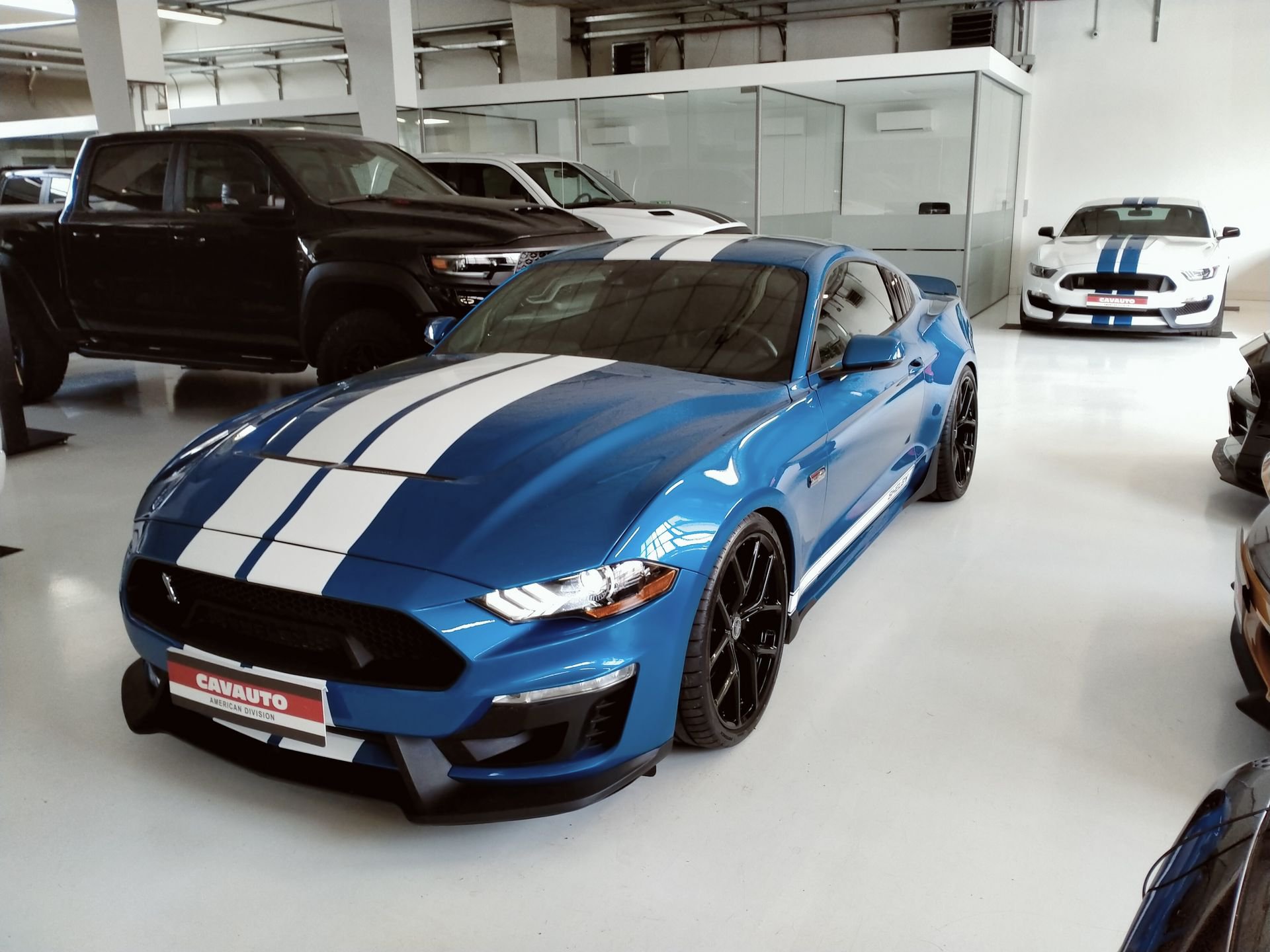 Ford Mustang  SHELBY GT 5.0 V8 Aut. UFFICIALE EUROPA
