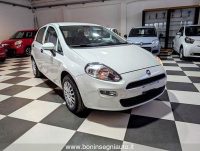 FIAT Punto  Usato