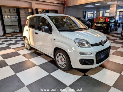 FIAT Panda  Usato