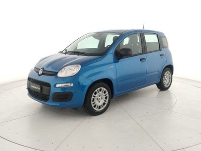 fiat panda usata