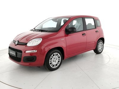fiat panda usata