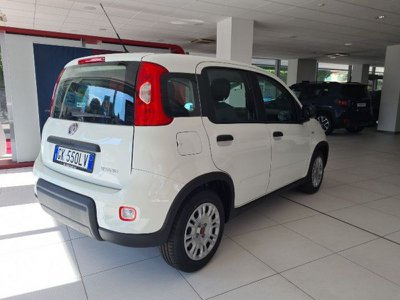 FIAT Panda  Nuovo