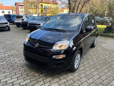 fiat panda usata