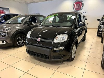 FIAT Panda  Km0