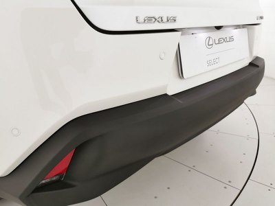 Lexus UX  Usato
