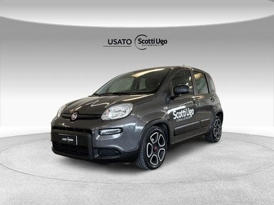 fiat panda