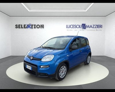 FIAT Panda My24 1.0 70cv Hybrid Panda