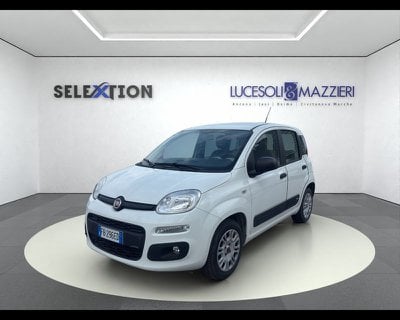 FIAT Panda 3ª serie 1.2 Easy