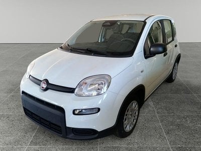 FIAT Panda  Nuovo