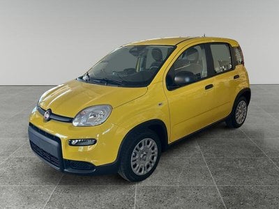 FIAT Panda  Nuovo