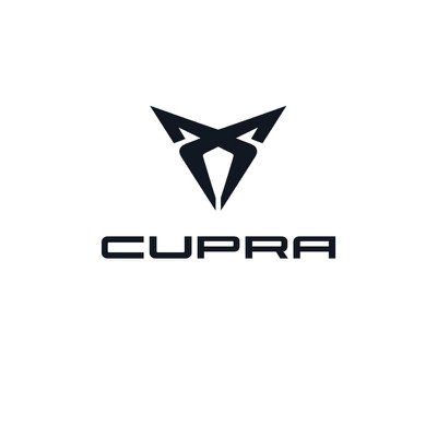 Cupra Formentor 2.5 TSI 4Drive DSG VZ5 Taiga Grey