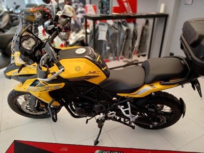 Benelli              TRK 502  