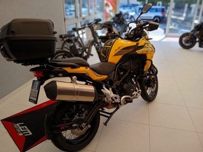 Benelli              TRK 502  