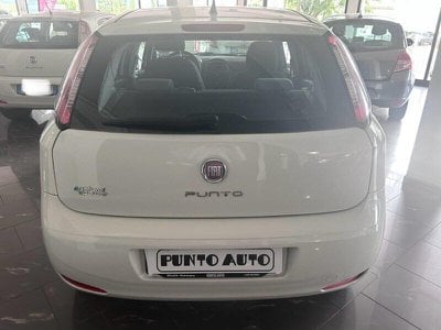 FIAT Punto Evo  