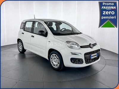 FIAT Pandina 1.0 FireFly 65cv S&S 6m Hybrid Icon