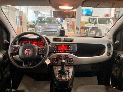 FIAT Panda Cross  Usato