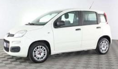 fiat panda
