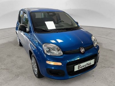 fiat panda usata