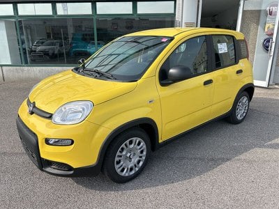 FIAT Panda  