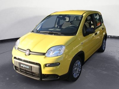 FIAT Panda  Km0