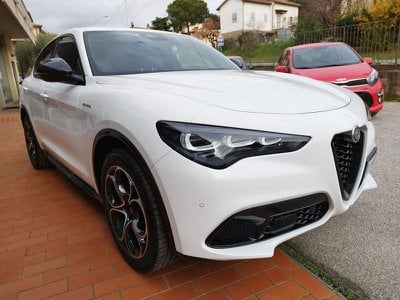 Alfa Romeo Stelvio  Usato