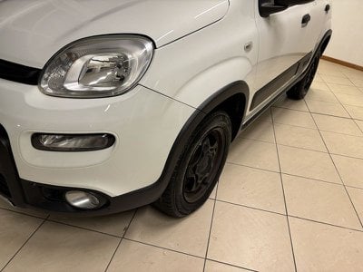 FIAT Panda  Usato