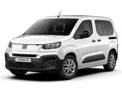 fiat dobl