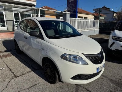 lancia ypsilon usata