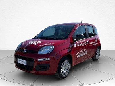 FIAT Pandina  