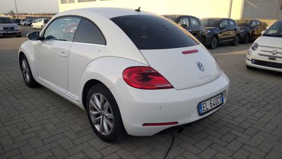 Volkswagen Maggiolino  Usato