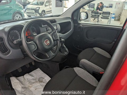 Auto Fiat Panda 1.0 Firefly S&S Hybrid Usate A Arezzo
