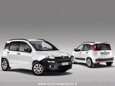 Auto Fiat Professional Panda Van 1.3 Mjt S&S Easy Van 4 Posti Usate A Arezzo