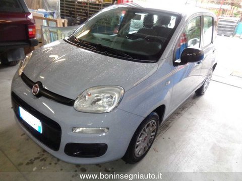 Auto Fiat Panda 1.2 Easy Usate A Arezzo