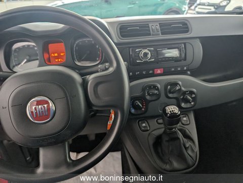 Auto Fiat Panda 1.0 Firefly S&S Hybrid Usate A Arezzo