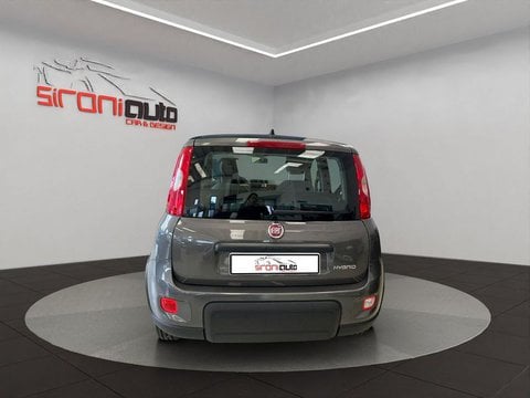 Auto Usate A Lecco | Fiat Panda Panda 1.0 Firefly Hybrid S&S 70Cv 5P.ti - Promo Sironiauto+