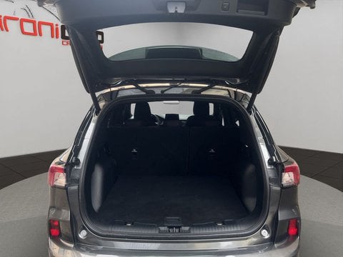 Auto Usate A Lecco | Ford Kuga Kuga 2.0 Ecoblue St-Line 2Wd 120Cv Auto