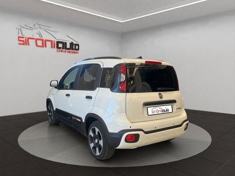 Auto Usate A Lecco | Fiat Pandina Pandina Cross 1.0 Firefly Hybrid S&S 70Cv