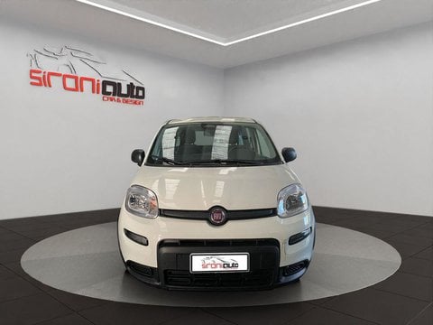 Auto Km0 A Lecco | Fiat Pandina 1.0 Firefly Hybrid Icon S&S 70Cv 5P.ti - Promo Sironiauto+