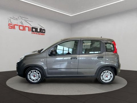 Auto Usate A Lecco | Fiat Panda Panda 1.0 Firefly Hybrid S&S 70Cv 5P.ti - Promo Sironiauto+