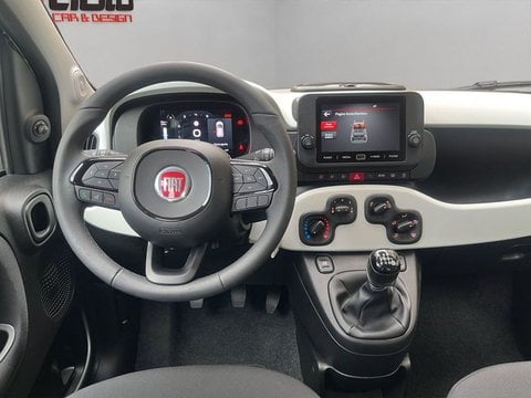 Auto Usate A Lecco | Fiat Pandina Pandina Cross 1.0 Firefly Hybrid S&S 70Cv