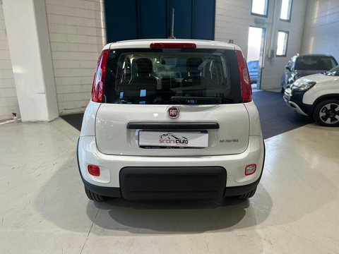 Auto Fiat Panda 1.0 Firefly S&S Hybrid Usate A Lecco