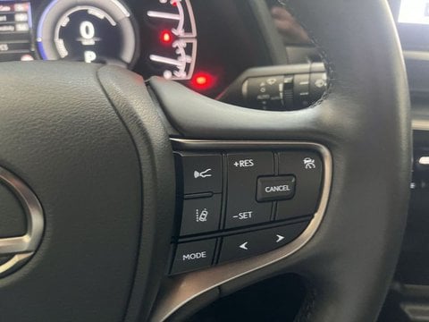 Auto Usate A Lecco | Lexus Ux Ux 300H 2.0 Urban 2Wd Cvt