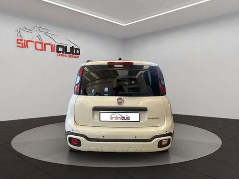 Auto Usate A Lecco | Fiat Pandina Pandina Cross 1.0 Firefly Hybrid S&S 70Cv