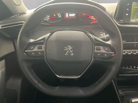 Auto Usate A Lecco | Peugeot 2008 2008 1.5 Bluehdi Active Pack S&S 110Cv