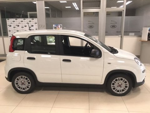Auto Fiat Panda 1.0 Hybrid 70 Cv Pan Km0 A Milano